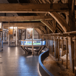 2023-06 Bruntingerhof Foto Sake Elzinga-Het Drentse Landschap (1)