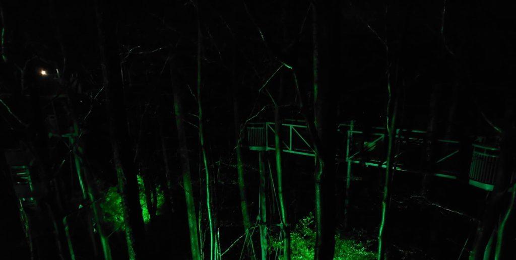 Lichtjeswandeling