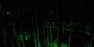 Lichtjeswandeling