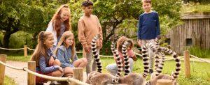 leuk met kinderen